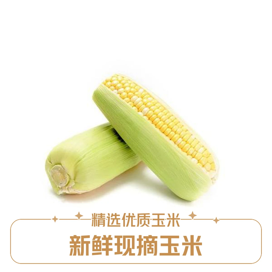 海南脆甜多汁水果玉米6-8根到手六斤装水果玉米海南省东方市