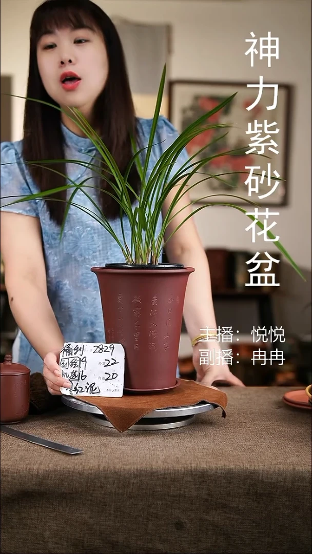 紫砂花盆紫砂花盆2829+z