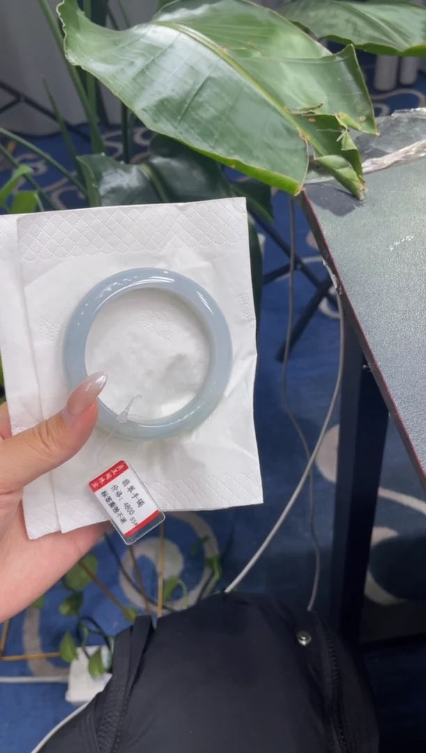 未镶嵌手镯翡翠8140****