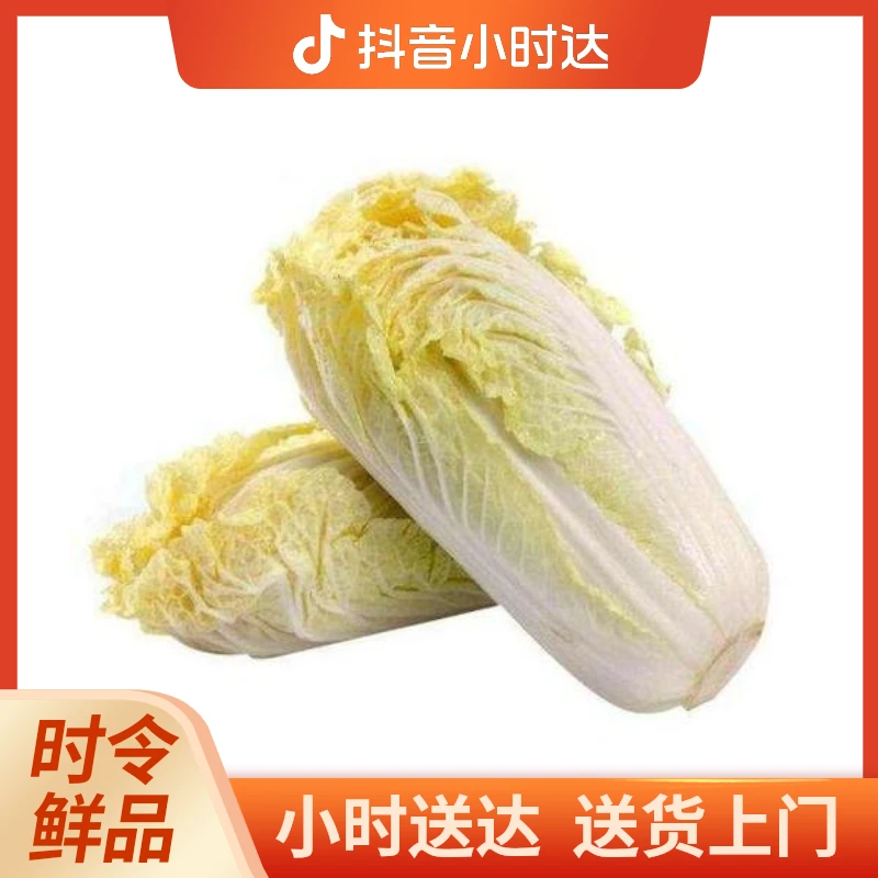 大白菜4斤左右