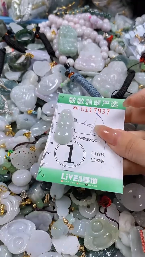 【闪购商品】翡翠颈饰未镶嵌闪购0117937