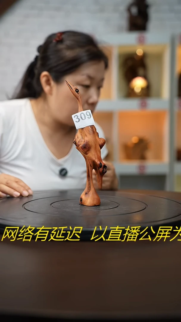 木江***郎云南黑果木仙鹤