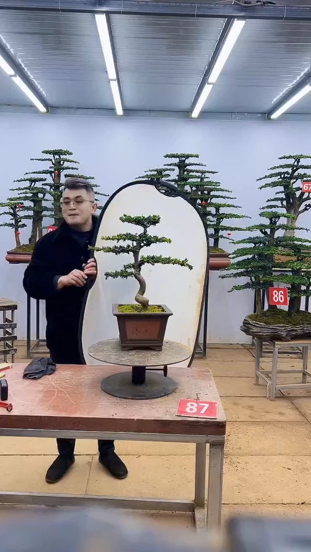 【闪购商品】一物一拍，所见即所得