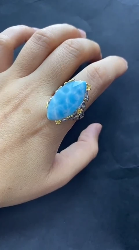 针钠钙石（海纹石）银S925镶嵌手链戒指