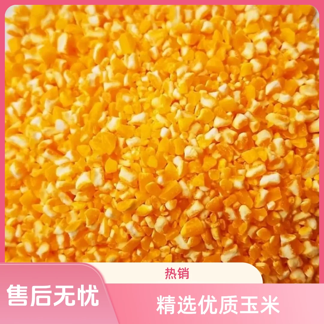栾川玉米糁大粒石磨加工生长期长自然晒干好口感好味道栾川发货