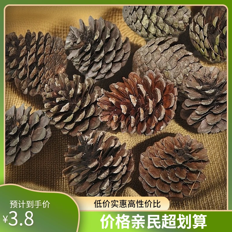 云南曲靖干松果批发做手工好材料，圣诞节幼师/设计师DIY松塔