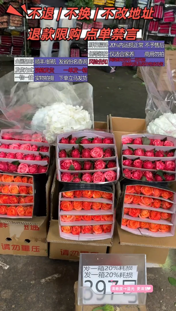 397号♥含20%耗损发一箱