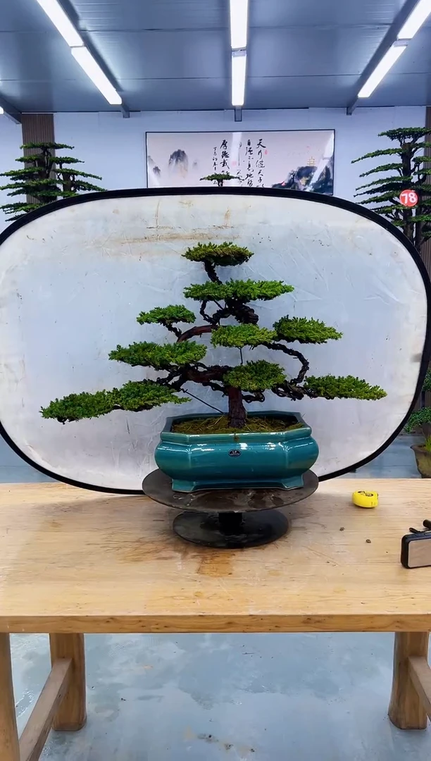 以实际为准000000000