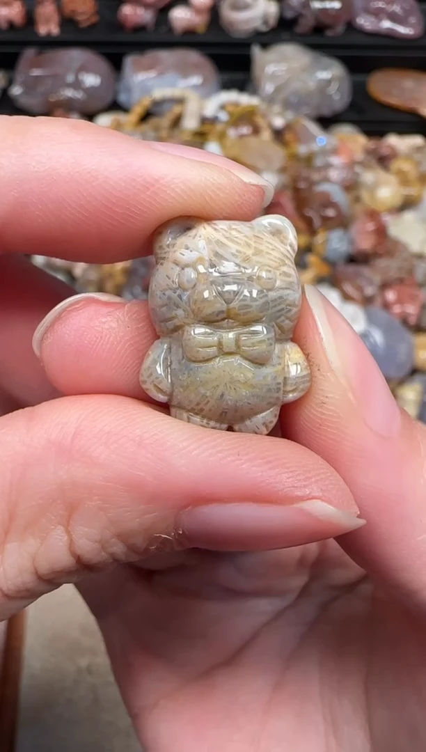 颈饰未镶嵌硅化珊瑚（珊瑚玉）765