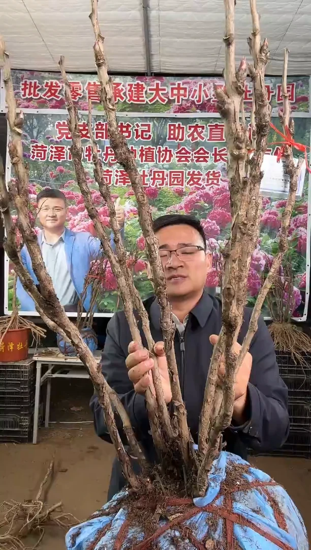 闪购一物一拍  岛锦12