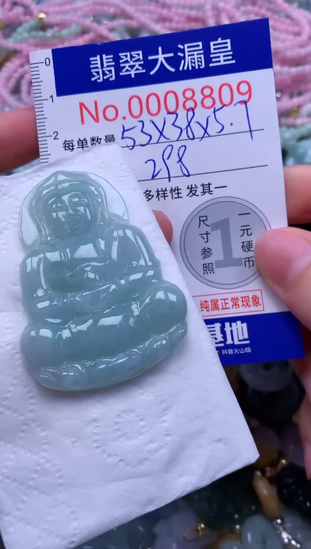 翡翠未镶嵌吊坠(不含链)8809