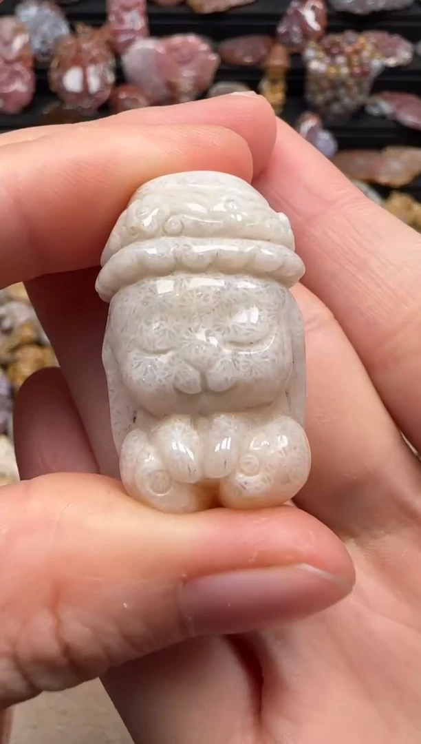 【闪购商品】硅化珊瑚（珊瑚玉）颈饰未镶嵌421