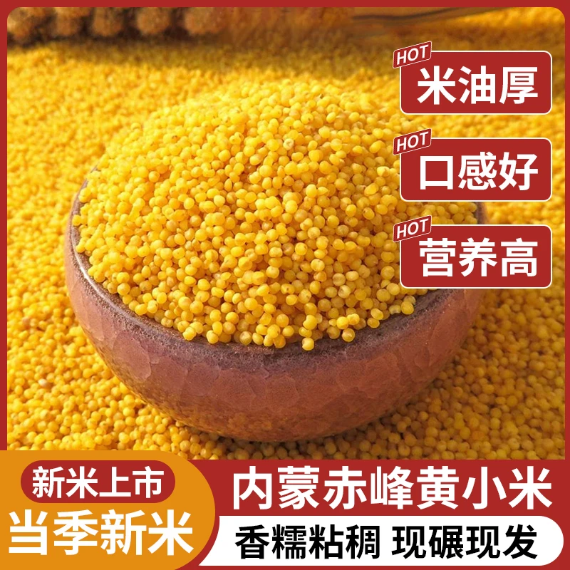 内蒙赤峰小米杂粮石碾小米粥绿色食品月子米营养农家黄小米新米T
