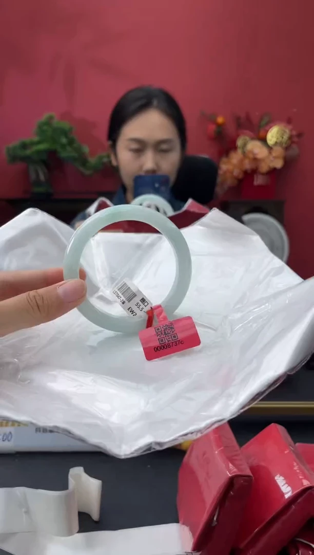未镶嵌手镯翡翠9