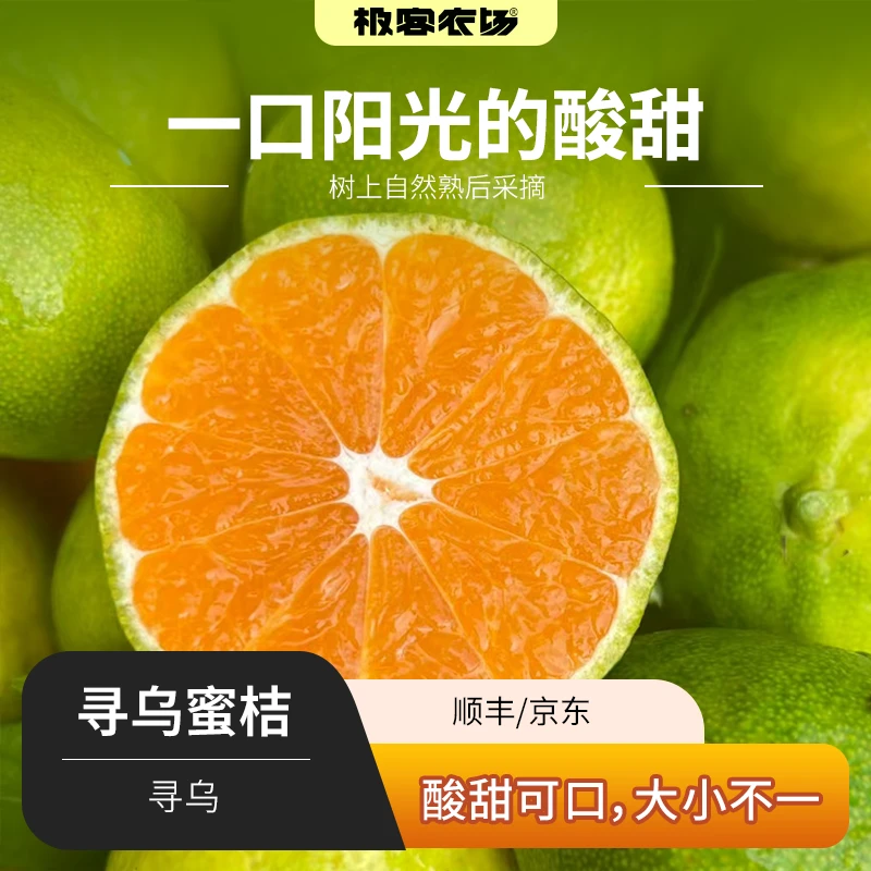 江西赣州寻乌蜜桔酸甜爽口青皮桔子无籽孕妇水果3斤顺丰/京东新鲜