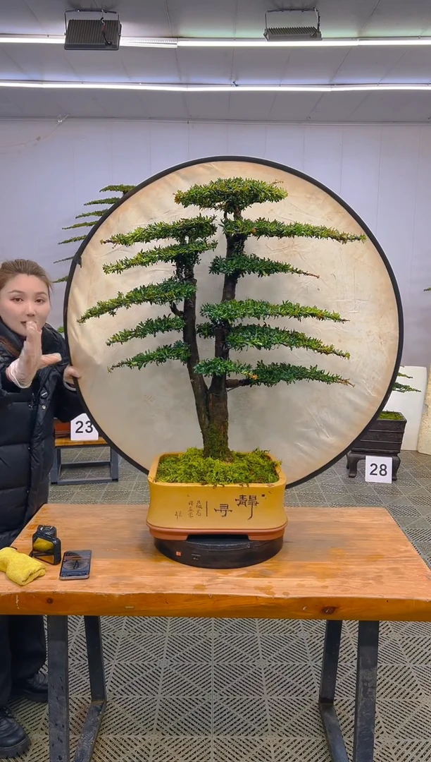 无花朵淼*森一物一拍一物一拍