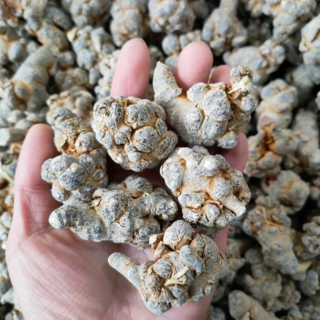 【甘肃溯源精选】田七100g