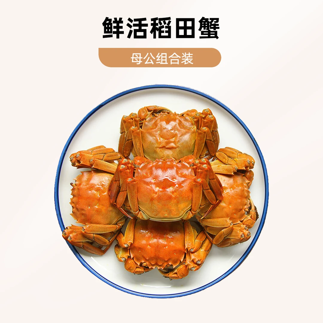 【活蟹】盘锦稻田蟹混装3斤（1.3-1两/只）母2斤+公1斤（25-30只）海鲜