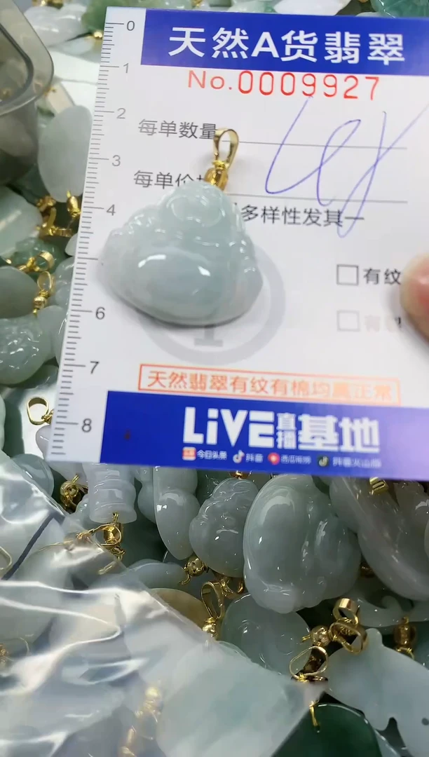 颈饰未镶嵌翡翠纯天然a货翡翠