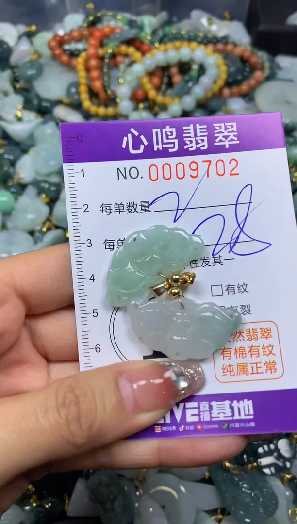 【闪购商品】翡翠颈饰未镶嵌闪购009702