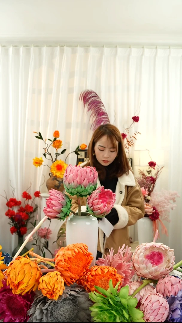 永生洋蓟  霸王花 三个头【荷花】A31