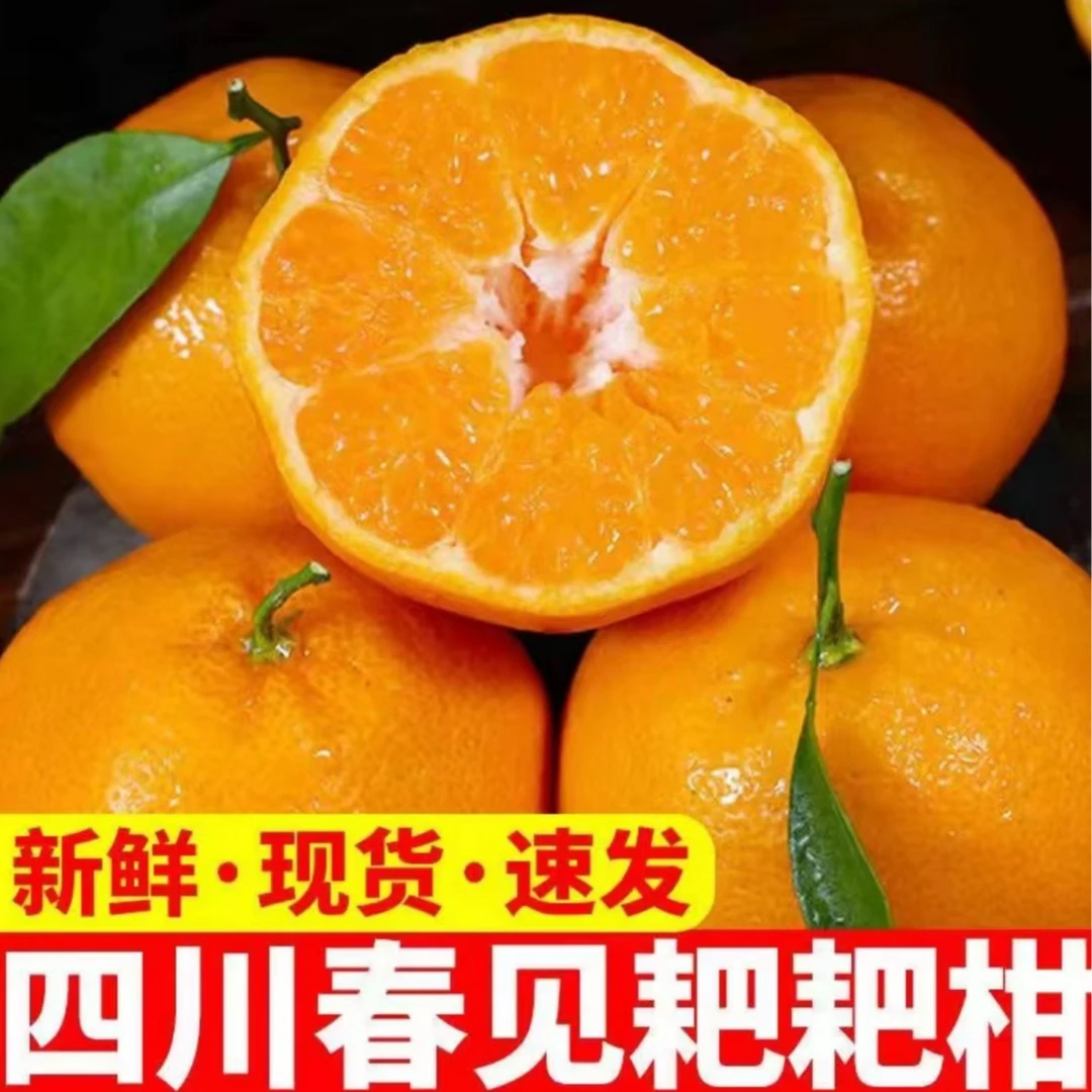 JD2正宗春见耙耙柑香甜多汁新鲜采摘柑橘丑桔农家果园应季水果