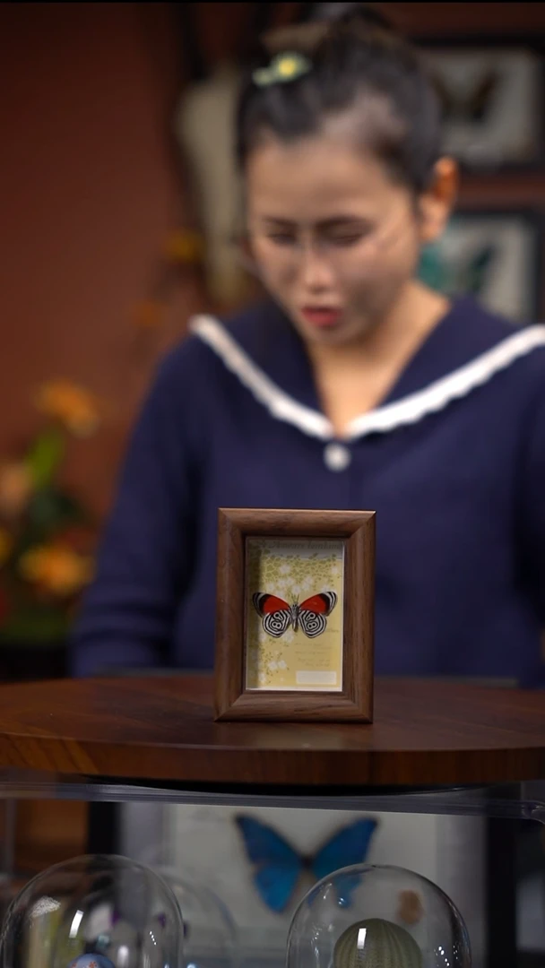 N881-88多涡蛱蝶木质冰箱贴