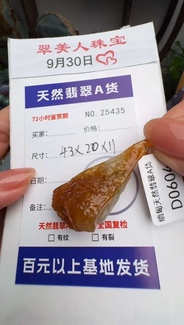 颈饰未镶嵌翡翠原石25435