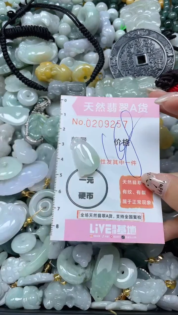 翡翠未镶嵌颈饰闪购0209257