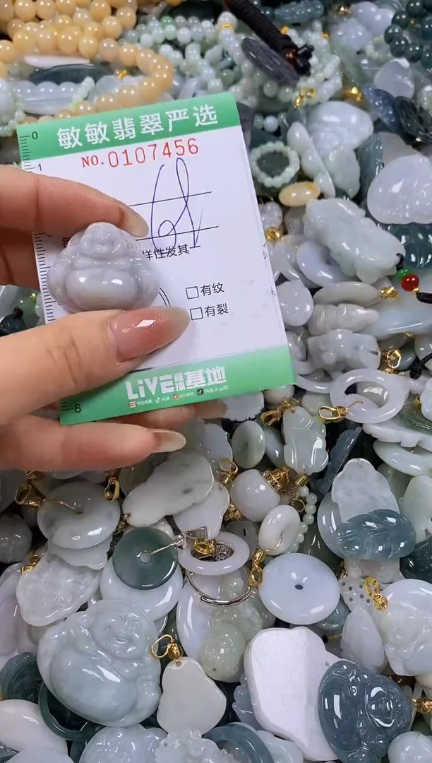 【闪购商品】翡翠颈饰未镶嵌闪购0107456