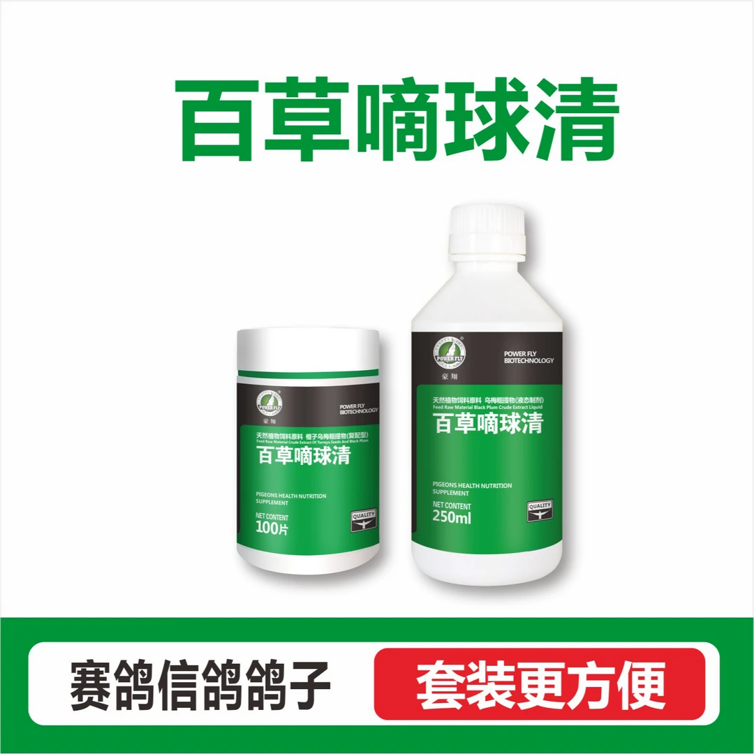 鸽子赛鸽信鸽用品百草滴球清赛鸽信鸽鸽子