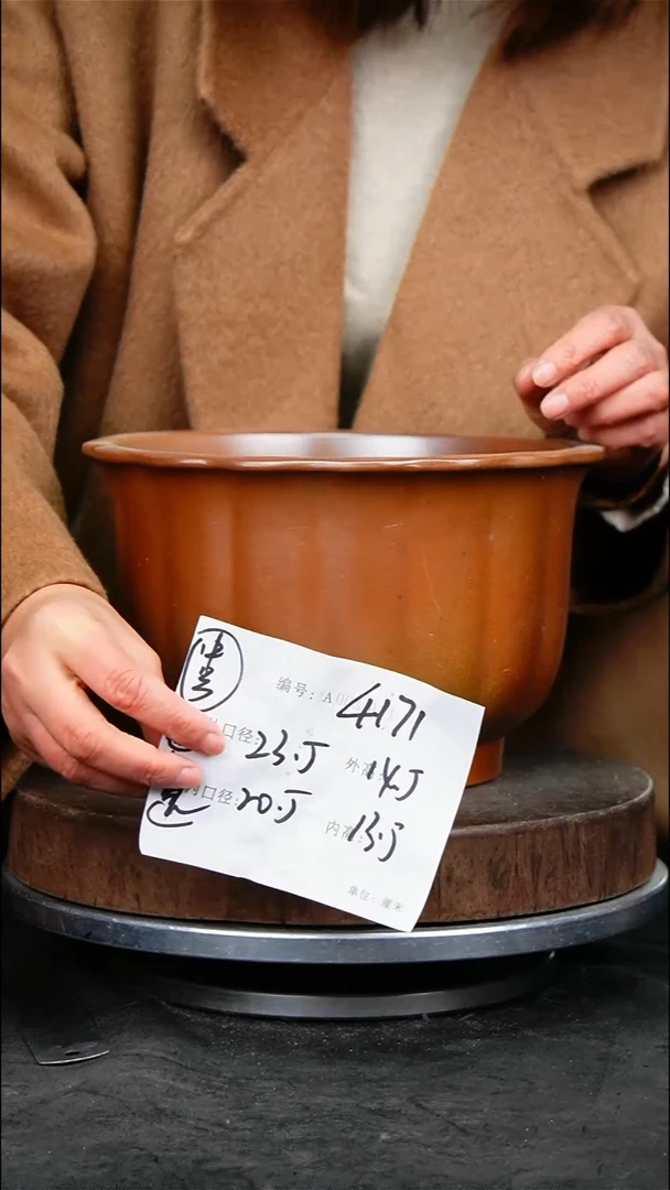 紫砂花盆花卉园艺4171
