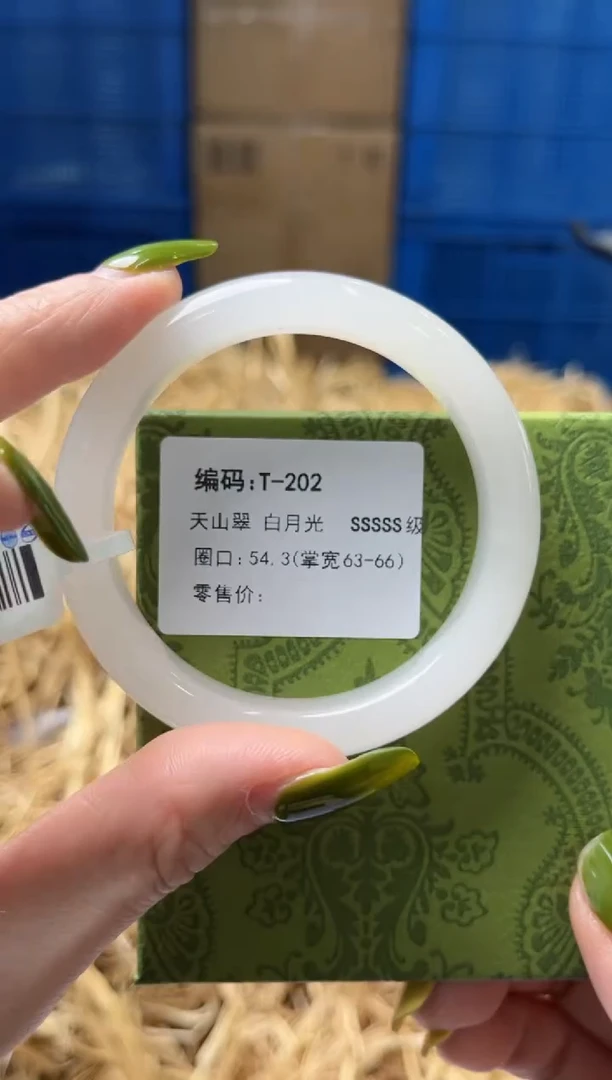 未镶嵌手镯石英质玉T202