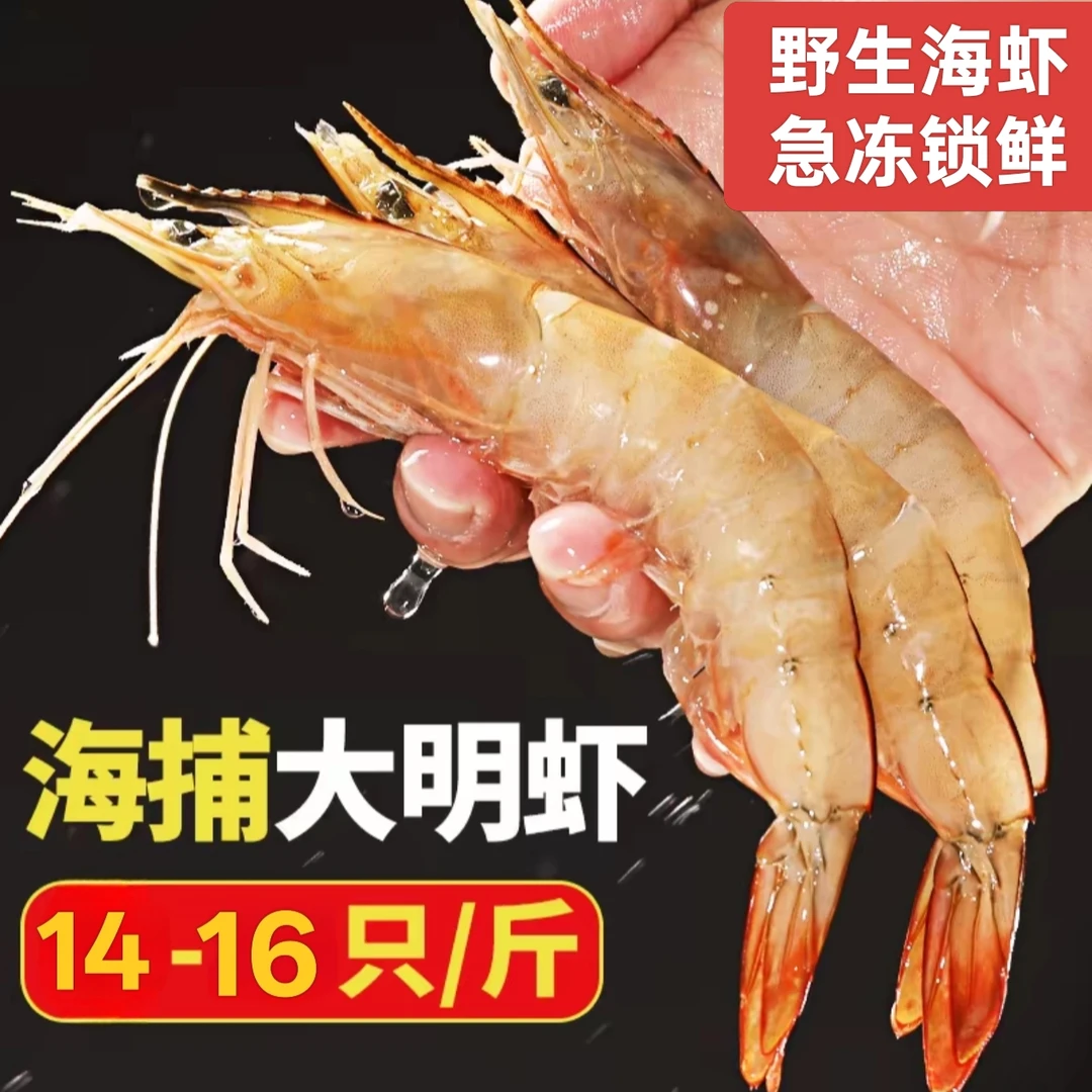 野生海捕   白对虾/明虾（每斤14/16只左右）不包冰不泡药 顺丰运输