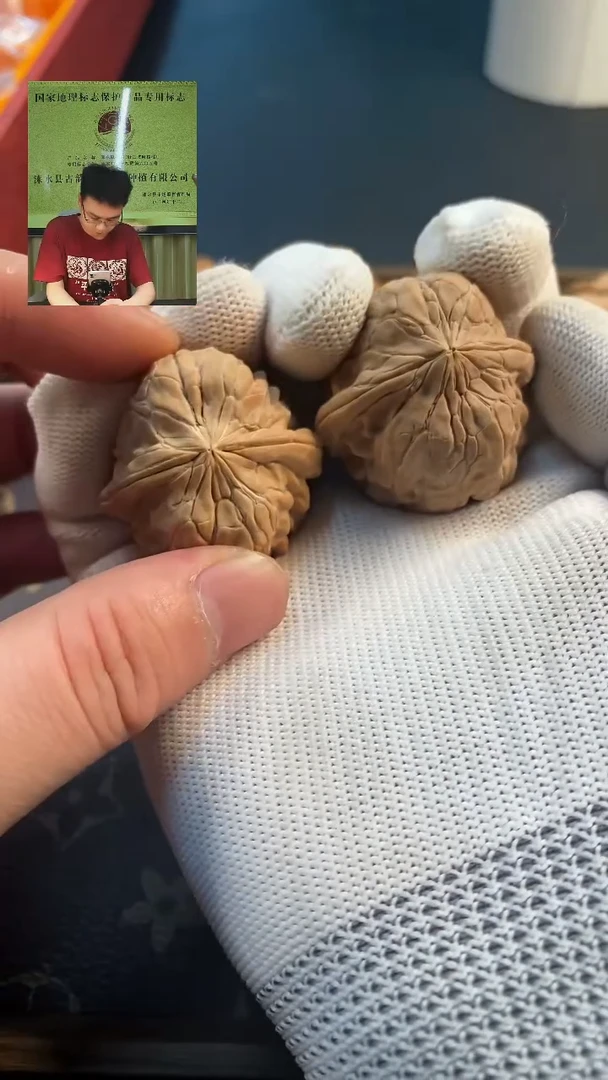 金蟾尊金蟾尊金蟾尊