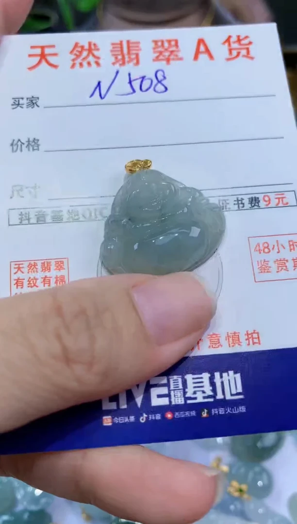 翡翠未镶嵌颈饰天然翡翠A货挂件