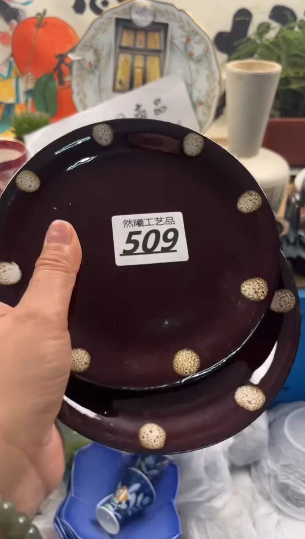瓷片509