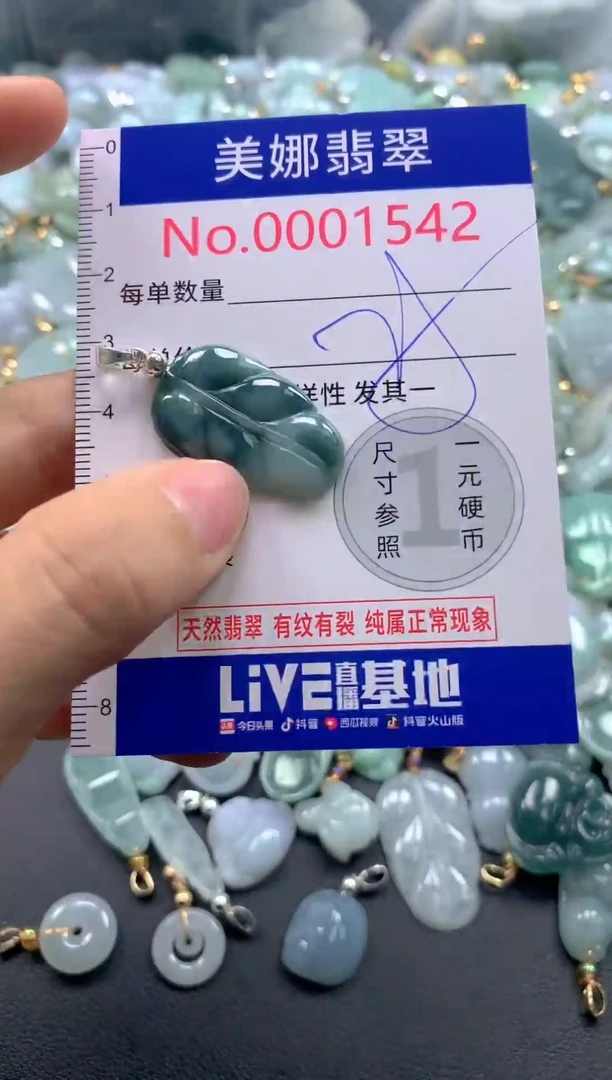 颈饰未镶嵌翡翠1543