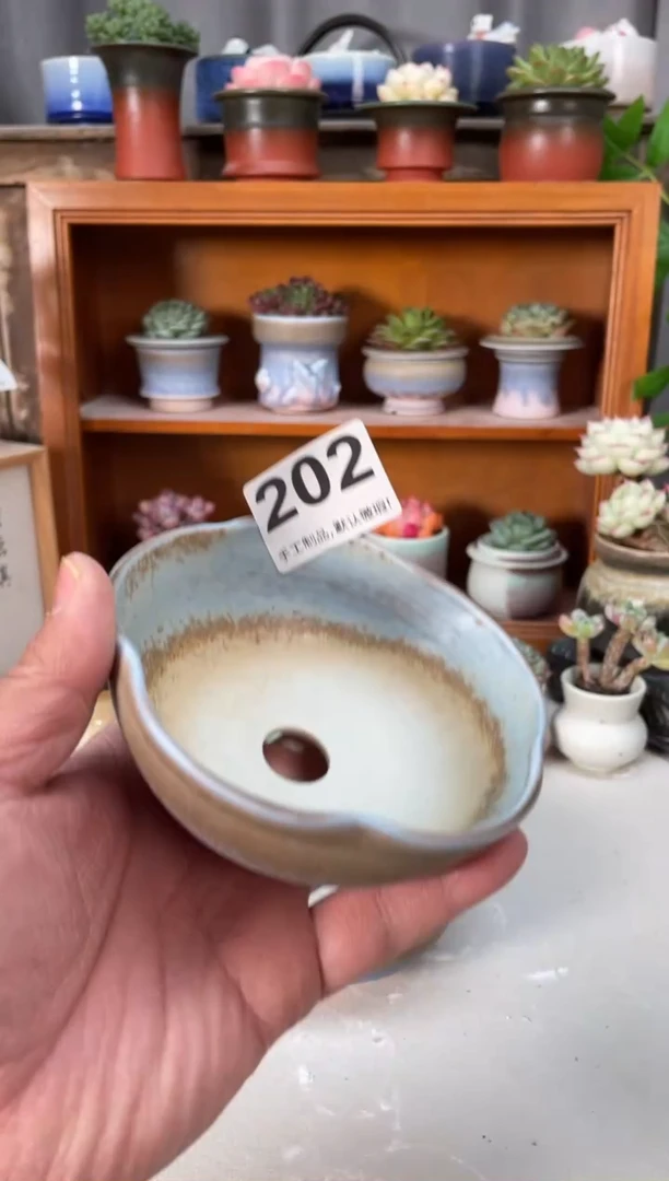 瓷片202小芳直播编号