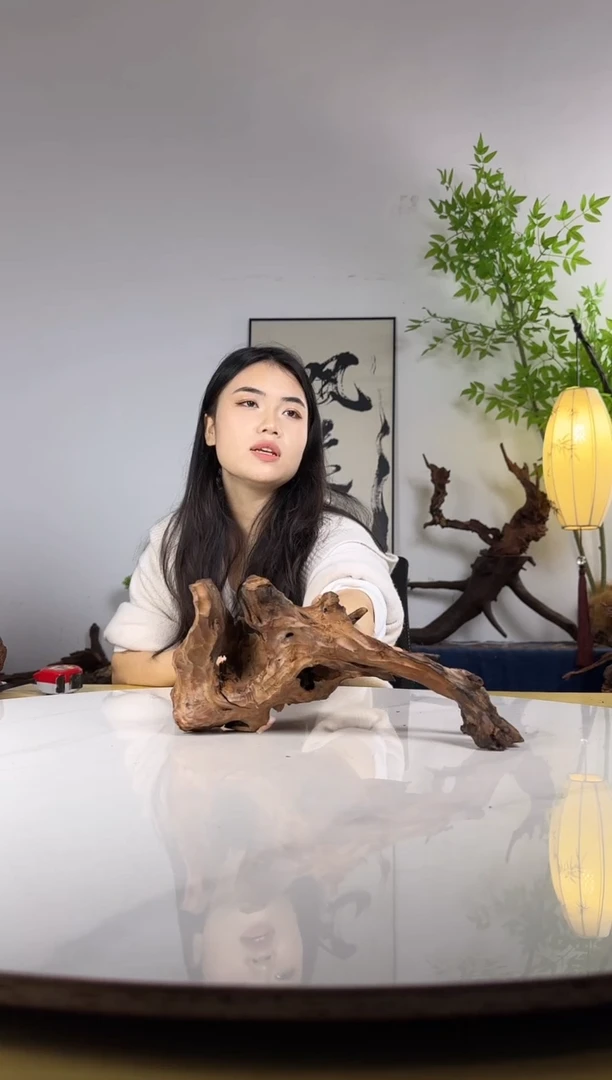 动****盖拍沉木定向链接编号49