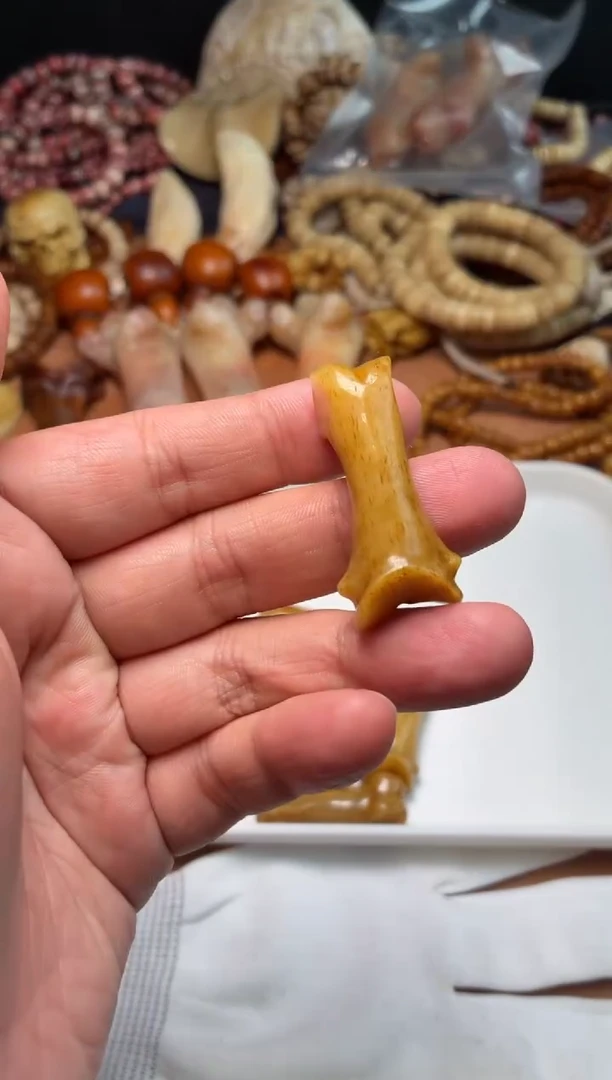 牛骨其他P1395-骨节-有棕裂