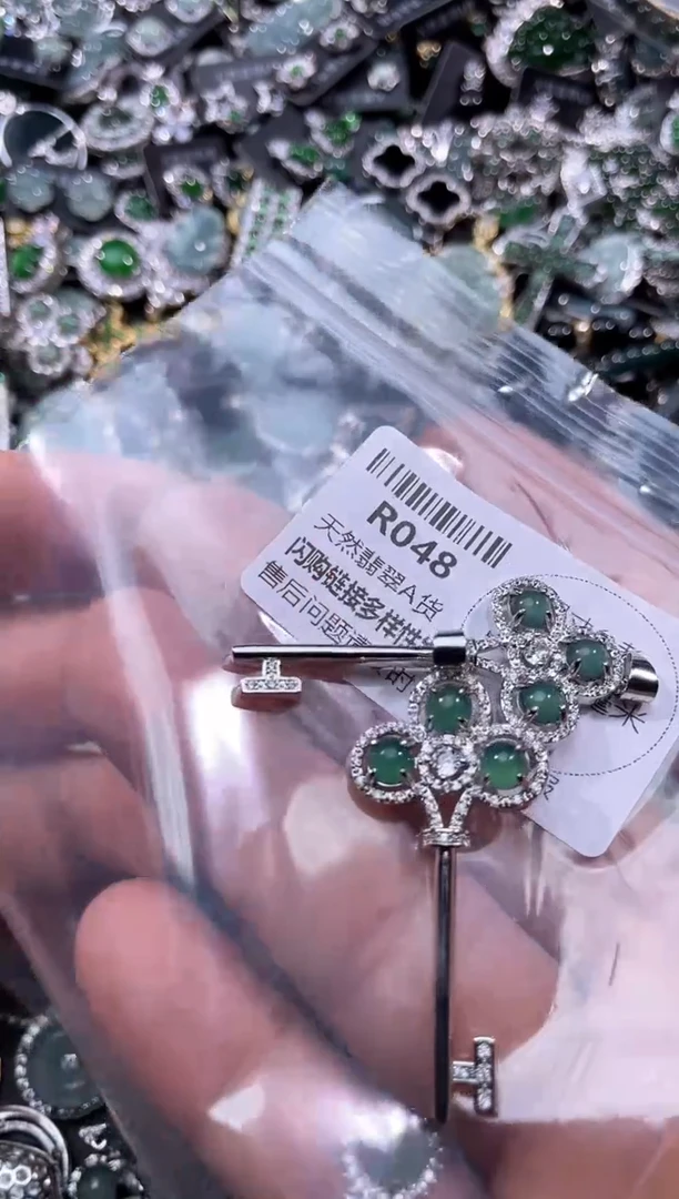 【闪购商品】翡翠颈饰未镶嵌R048多样性发其一