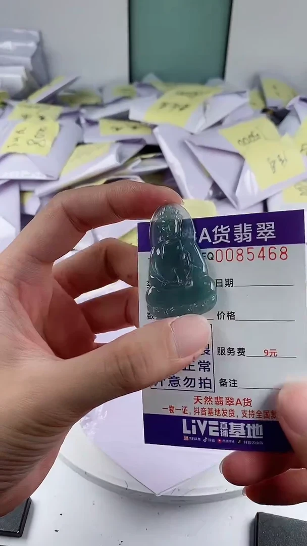 翡翠未镶嵌颈饰多样性随机一件发货 素衣观音29.9
