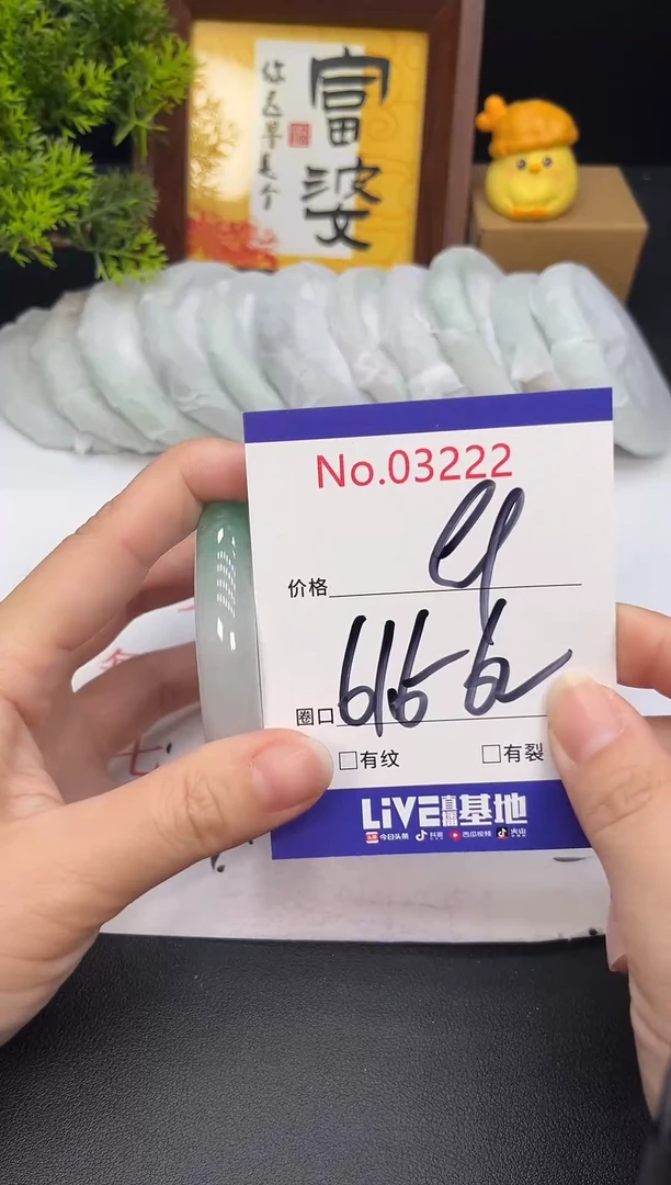 未镶嵌手镯翡翠3222