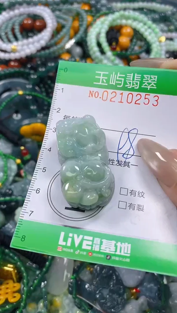 颈饰未镶嵌翡翠闪购0210253