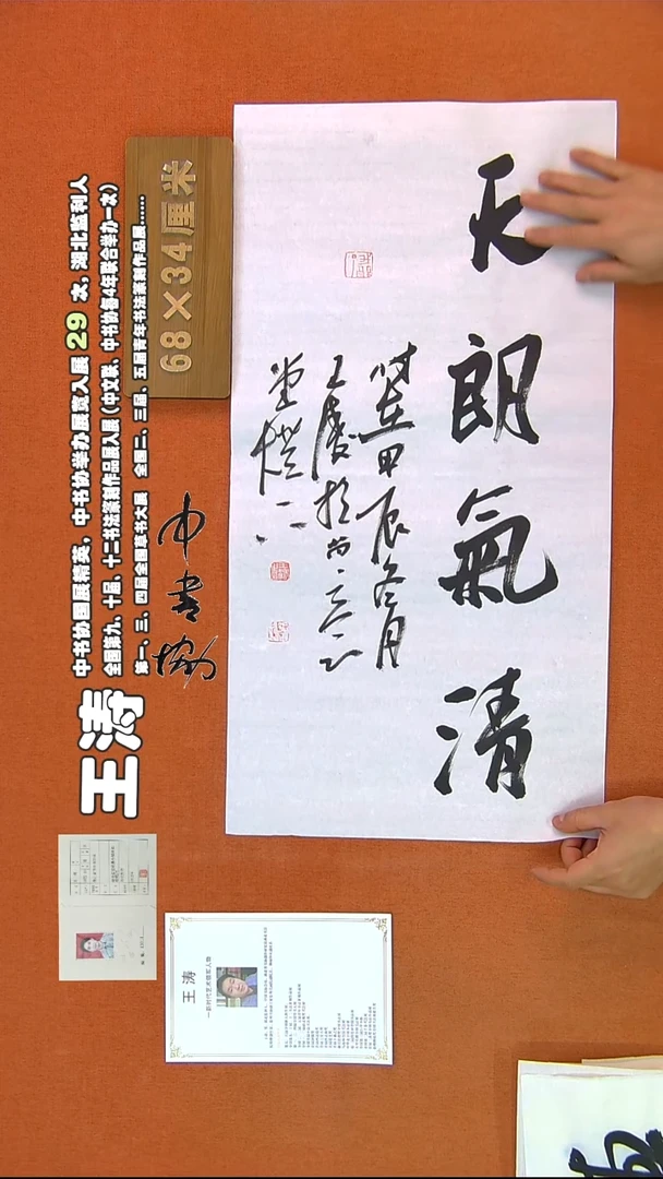 【闪购商品】书法603王涛书法作品