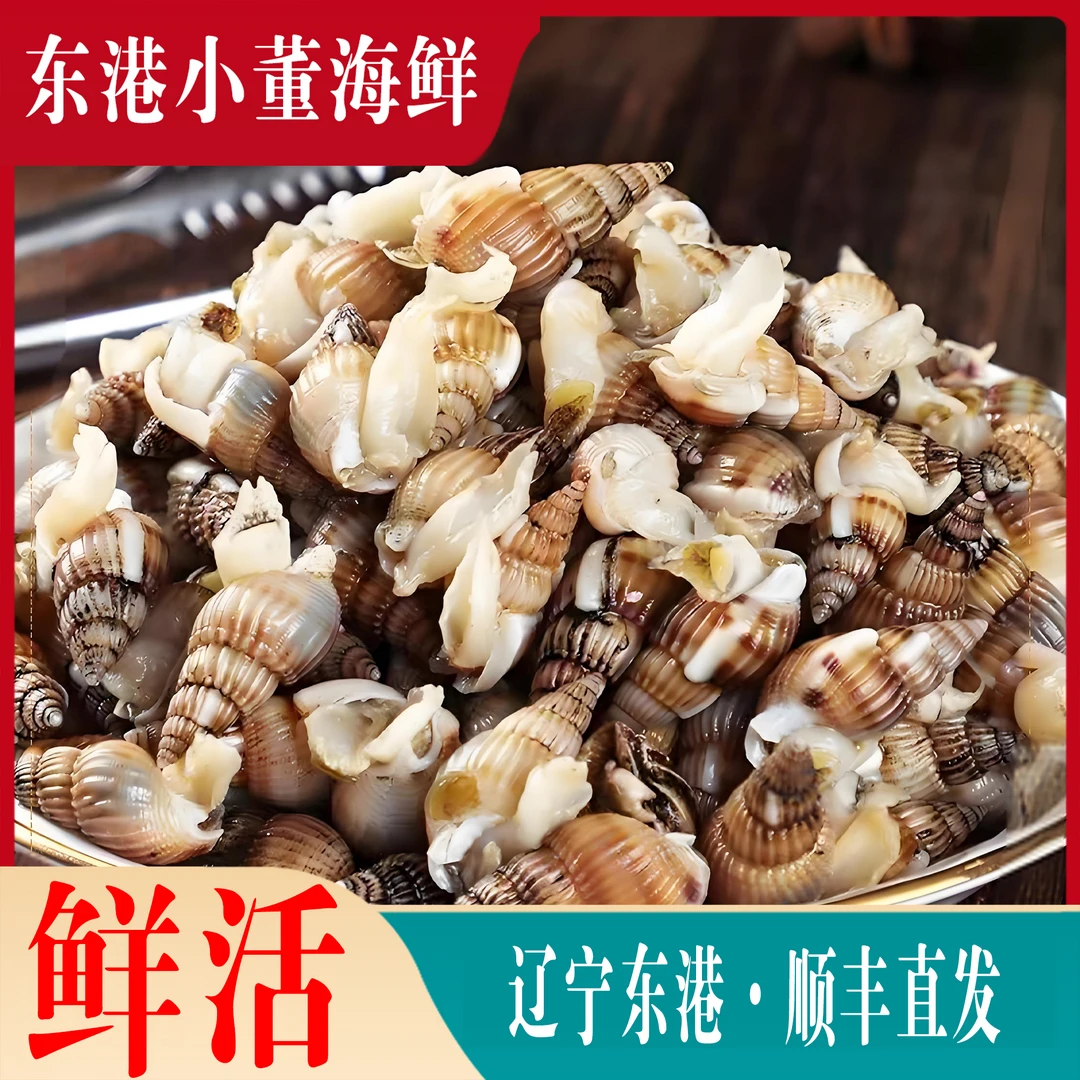 [440粒多送半斤]东港鲜活海锥北方海锥锥顺丰保活㊟嫌小拍大
