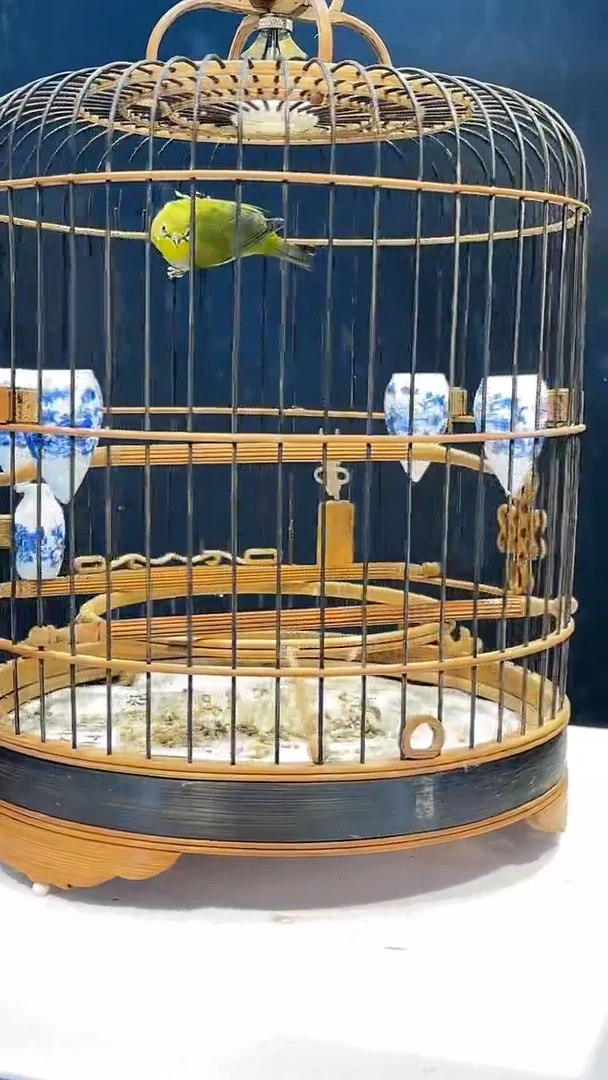 54号绣眼养笼0元起拍