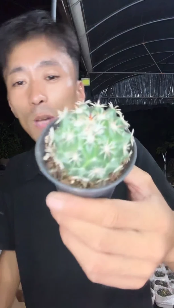 实生钢钉25.99===