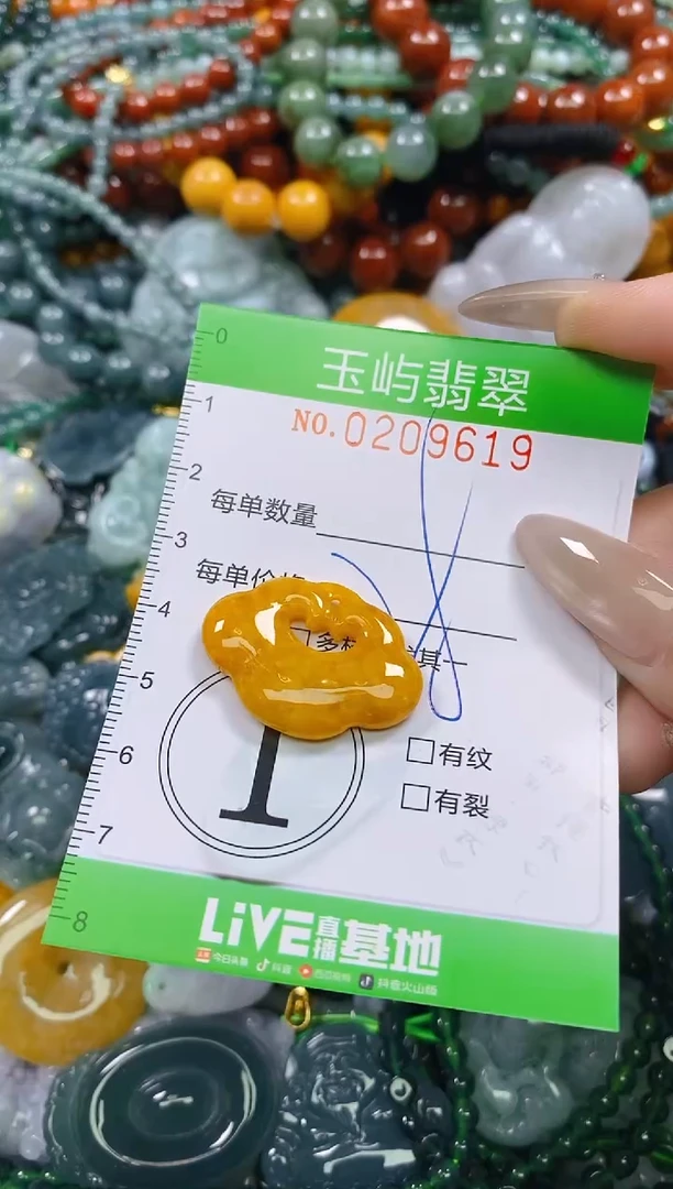颈饰未镶嵌翡翠闪购0209619